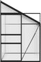 vidaXL - Broeikas - 3,8 - m³ - aluminium - antracietkleurig