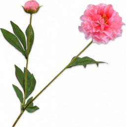 Silk-ka Zijden Kunstbloemen Nepbloemen Pioen Roos Roze 149329 65 cm