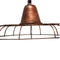 Pole to Pole - Pendent Light - Spider copper