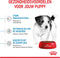 Royal Canin Puppy - Mini - Hondenbrokken - 4 KG