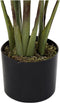 Decoratieve plant DKD Home Decor Groen PE (40 x 40 x 115 cm)