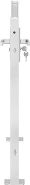 vidaXL - Poort - 100x75 - cm - roestvrij - staal