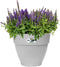 Elho Vibia Campana Rond 25 - Bloempot voor Buiten met Afwateringsgaten - 100% Gerecycled Plastic - Ø 24.5 x H 21.0 cm - Living concrete