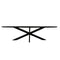StarFurn Eettafel Brandy Zwart 210cm Ovaal