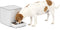 Petsafe Teach & Treat - Beloningstrainer met afstandsbediening - Tot 27,5 meter afstand - Wit