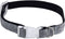 Wandelhalsband Hearts & Homies Maat M