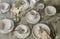 Laura Ashley Artisan Collectables Petit Four - Ø 12cm - Wit