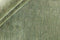 MOMO Rugs Panorama Uni Green Vloerkleed - 140x200 - Rechthoek - Laagpolig Tapijt - Modern - Groen