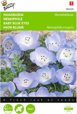 2 stuks - Buzzy - Nemophila Insignis Hemelsblauw