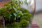Navul pakket Erlenmeyer large/Bolder/Biodome