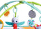 Tiny Love Babygym Sunny Day - Meadow Days