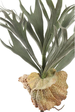 PTMD Hertshoorn Kunsttak - 72 x 41 x 43 cm - Kunststof - Groen