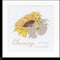 Thea Gouverneur - Borduurpakket met telpatroon - 507A - Voorgesorteerde DMC Garens - Geboortetegel Zonnebloem - Aida - 15 cm x 15 cm - DIY Kit