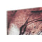 Schilderij DKD Home Decor Pijnboom Tijger Canvas (2 pcs) (135 x 2.5 x 45 cm)