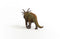 schleich DINOSAURUS - Speelfiguur - Dino Speelgoed - Styracosaurus - Dino Kinderspeelgoed - 4 tot 12 Jaar - 15033