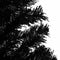 vidaXL - Kunstkerstboom - met - verlichting - en - kerstballen - 180 - cm - PVC - zwart