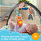Fisher-Price 3-in-1 Muziek Gym - Speelmat met 5 speeltjes en muziek - 76 x 76 cm (1 stuk)