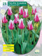 2 stuks Tulipa Claudia, Leliebloemig per 25Baltus