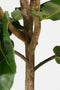 Mica Decorations Ficus Lyrata - Kunstplant - H165 x Ø95 cm - Groen