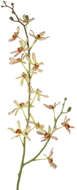 Driesprong collection - Cattleya orchidee 82 cm kunstbloem zijde n...