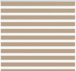 vidaXL - Zebra - Blind - 165x100 - cm - stofbreedte - 160,9 - cm - polyester - zandbruin