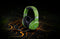 Razer Kaira Pro - Draadloze Headset - Razer TriForce 50mm Drivers - Xbox (2023)