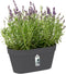 Elho Loft Urban Green Wall Pot Duo 28 - Bloempot voor Balkon Buiten - Ø 28.0 x H 13.2 cm - Antraciet