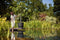 Elho Greenville Rond 55 - Grote Bloempot Buiten - Waterreservoir - 100% Gerecycled Plastic - Ø 55 x H 50 cm - Living black