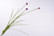 Silk-ka Kunstbloem-Zijden Bloem-Allium Steel Zijde Lavendel 95 cm