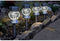 Crystal Glass -tag of zonnelamp, set van 4