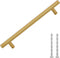 vidaXL - Handvatten - 10 - st - 160 - mm - roestvrij - staal - goudkleurig