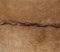 HSM Collection - Geitenhuid medium - assorti - ±90x60cm
