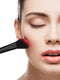 Professional Cosmetic Brush collection 24 st - sensual red