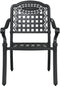 vidaXL - Tuinstoelen - - - Set - van - 2, - Zwart - Gietaluminium