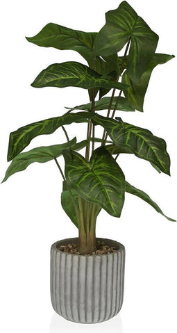 Decoratieve plant Versa 15 x 53 x 15 cm Cement Plastic