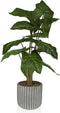 Decoratieve plant Versa 15 x 53 x 15 cm Cement Plastic