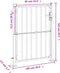vidaXL - Tuinpoort - 100x150 - cm - roestvrij - staal