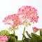 Mica Decorations Geranium Kunstplant in Bloempot Stan - H34 x Ø20 cm - Roze, wit