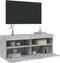 vidaXL - Tv-wandmeubel - met - LED-verlichting - 100x30x40 - cm - betongrijs