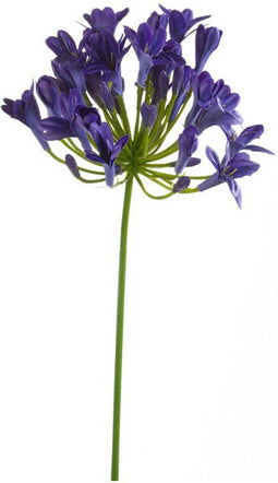 Emerald - Kunstbloem Agapanthus 75cm blauw - Kunstplanten voor binnen