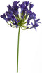 Emerald - Kunstbloem Agapanthus 75cm blauw - Kunstplanten voor binnen