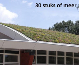 Minimaal 30 stuks afnemen, Minimaal 30 stuks! Dakgroen Sedummixmat Compleet (incl. drainage type 11c & daktuinsubstraat) per 1.2 m2 max. 25 graden Sempergreen