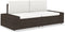 vidaXL-Tweezitsbank-sectioneel-poly-rattan-bruin