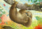 Puzzel little wolf and sloth 24 en 48