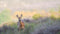 Customize it - Tuinschilderij in de lens 70x50cm