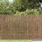 vidaXL - Tuinscherm - 600x90 - cm - riet