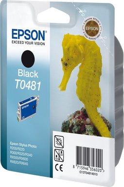 Epson C13T048140 - Originele Inktcartridge - Zwart