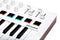 Arturia MiniLab 3 - MIDI Keyboard & Pad Controller - 25 toetsen 8 pads - Wit