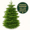 FURNILUX - Nordmann Kerstboom - 400 - 450 cm - XXL - Diepgroen