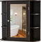COAST™ - Badkamerkast - Spiegeldeur - Bruin - 66 x 16,7 x 63 cm